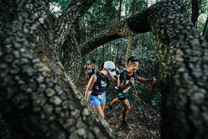 BIB: 
                            <button type="button" onclick="openModal(25392000)" class="btn btn-primary btn-sm float-right btn-popup" data-toggle="modal" data-target=".modal-high-quality">
                        <i class="fas fa-shopping-cart"></i> Add to Cart
                    </button>
                                            <button type="button" onclick="isThisMe(25392000, true)" class="btn btn-success btn-sm float-right btn-popup btn-isme hidden" data-toggle="tooltip" data-placement="bottom" title="นี่คือรูปของคุณใช่ไหม คลิกที่นี่เพื่อเอาเข้าอัลบั้ม">
                        <i class="fas fa-plus"></i> Add to album
                    </button>
                    <button type="button" onclick="isThisMe(25392000, false)" class="btn btn-warning btn-sm float-right btn-popup btn-isnotme hidden">
                        <i class="fas fa-ban"></i> Remove from album
                    </button>